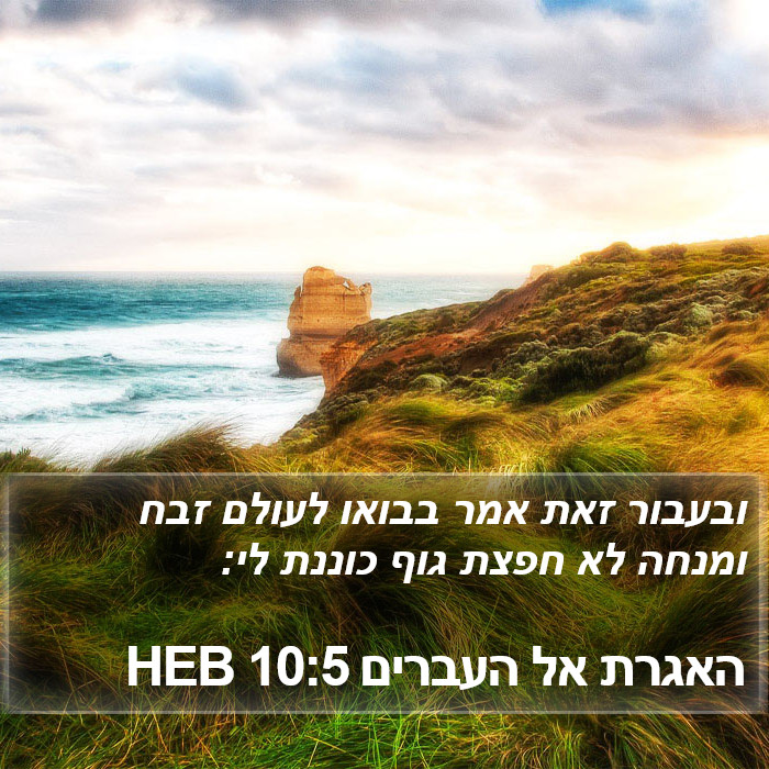 האגרת אל העברים 10:5 HEB Bible Study