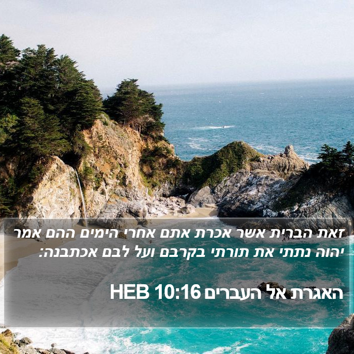 האגרת אל העברים 10:16 HEB Bible Study