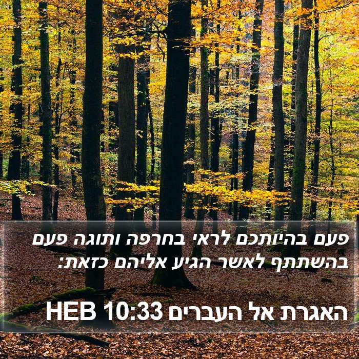 האגרת אל העברים 10:33 HEB Bible Study