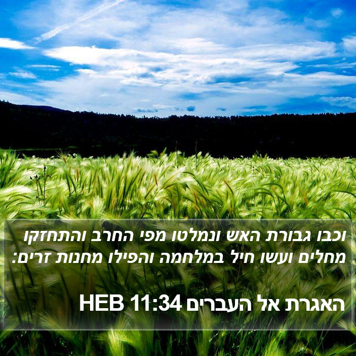 האגרת אל העברים 11:34 HEB Bible Study