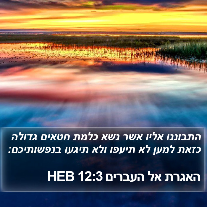 האגרת אל העברים 12:3 HEB Bible Study