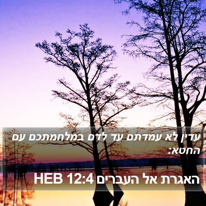 האגרת אל העברים 12:4 HEB Bible Study