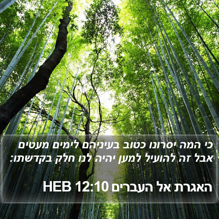 האגרת אל העברים 12:10 HEB Bible Study