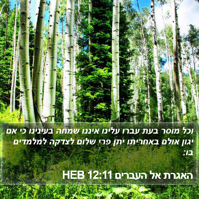 האגרת אל העברים 12:11 HEB Bible Study