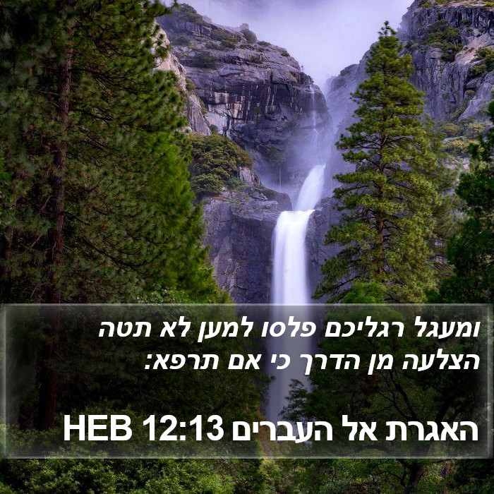 האגרת אל העברים 12:13 HEB Bible Study