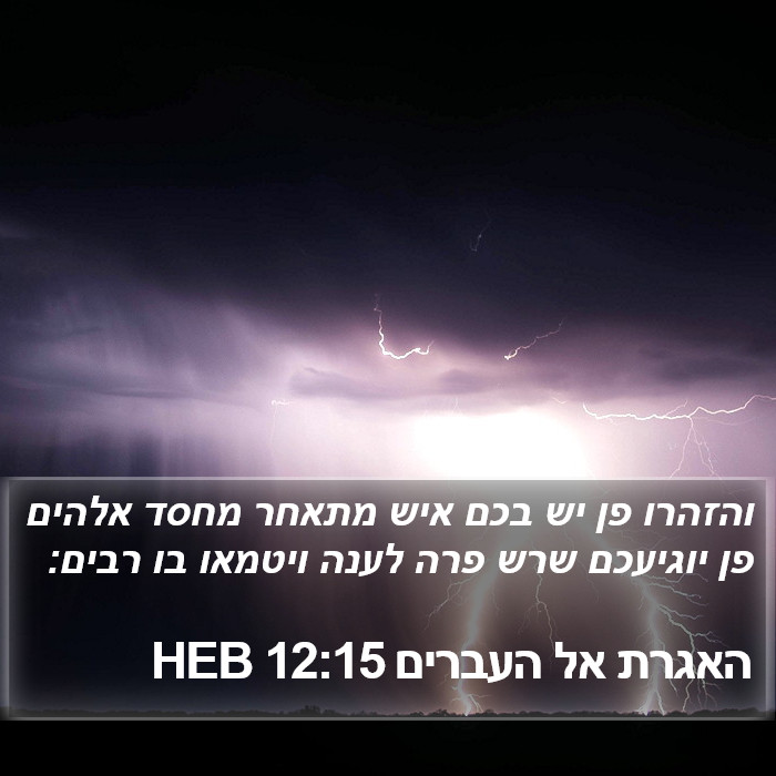 האגרת אל העברים 12:15 HEB Bible Study