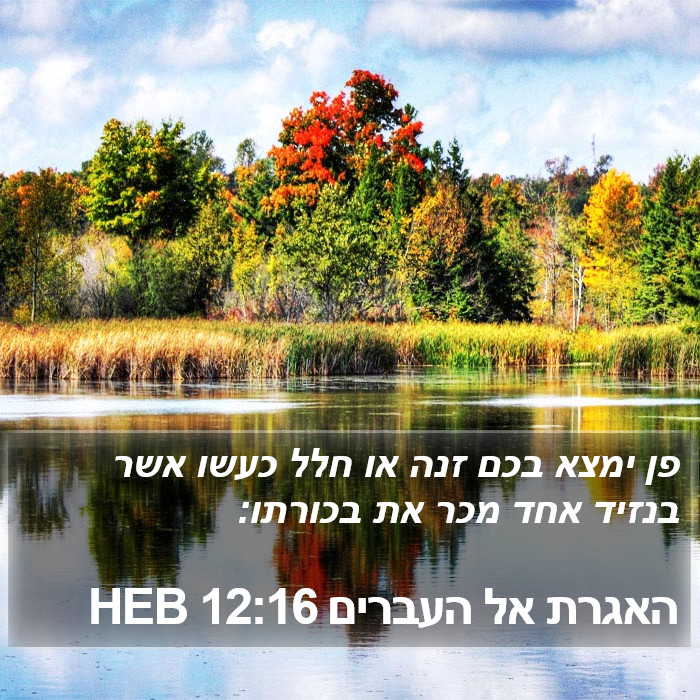 האגרת אל העברים 12:16 HEB Bible Study