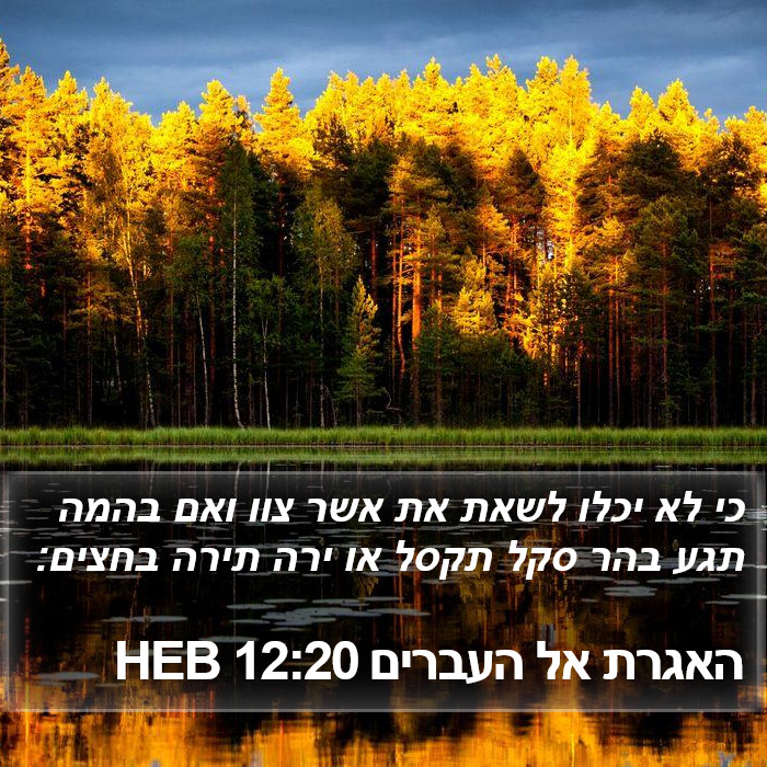 האגרת אל העברים 12:20 HEB Bible Study