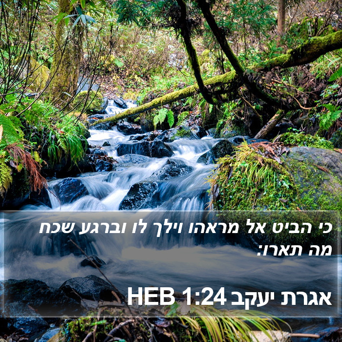 אגרת יעקב 1:24 HEB Bible Study