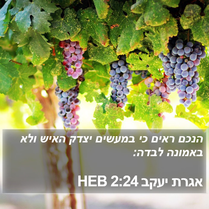 אגרת יעקב 2:24 HEB Bible Study