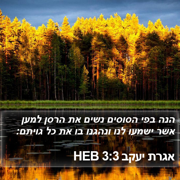 אגרת יעקב 3:3 HEB Bible Study