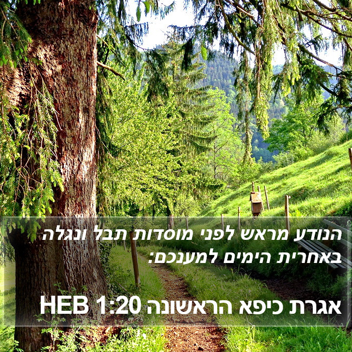 אגרת כיפא הראשונה 1:20 HEB Bible Study