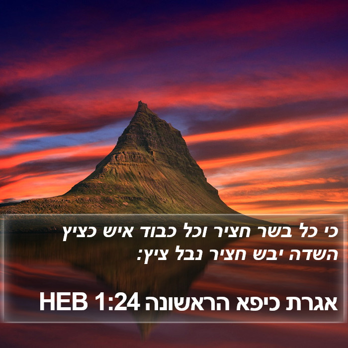 אגרת כיפא הראשונה 1:24 HEB Bible Study