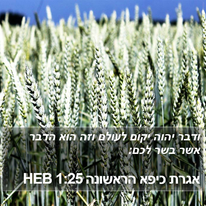 אגרת כיפא הראשונה 1:25 HEB Bible Study