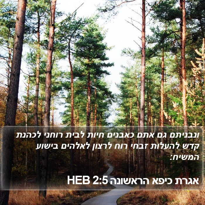 אגרת כיפא הראשונה 2:5 HEB Bible Study