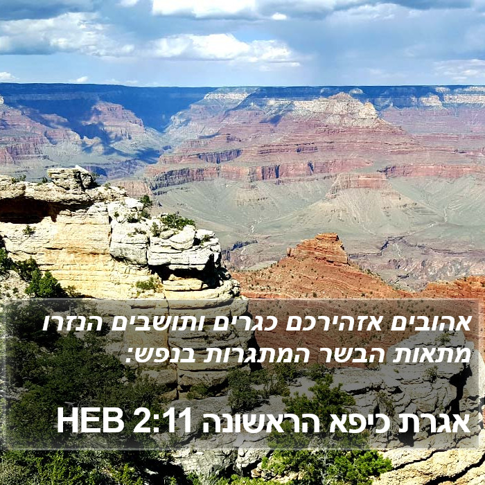 אגרת כיפא הראשונה 2:11 HEB Bible Study