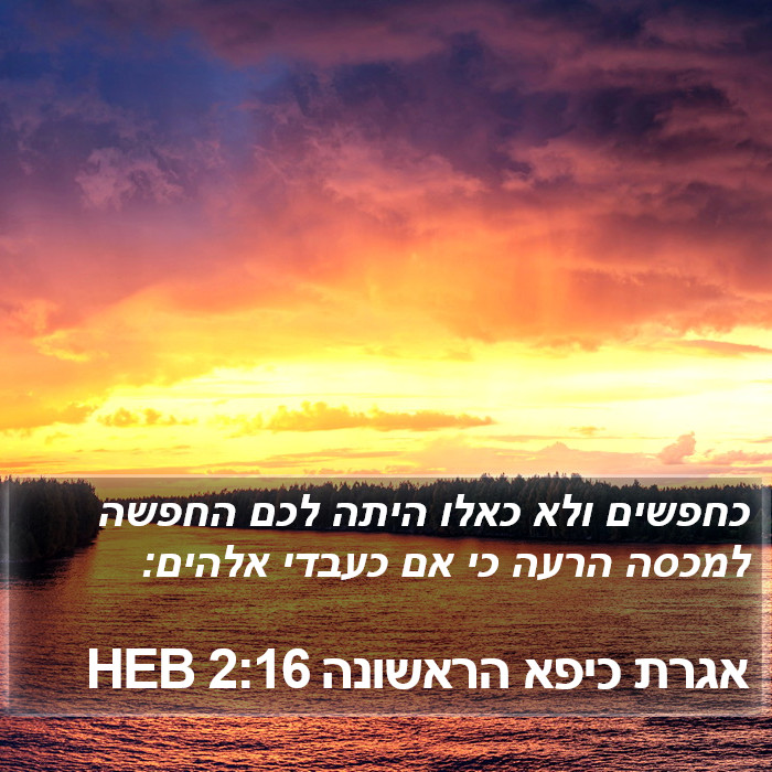 אגרת כיפא הראשונה 2:16 HEB Bible Study