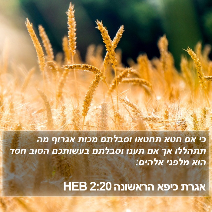 אגרת כיפא הראשונה 2:20 HEB Bible Study