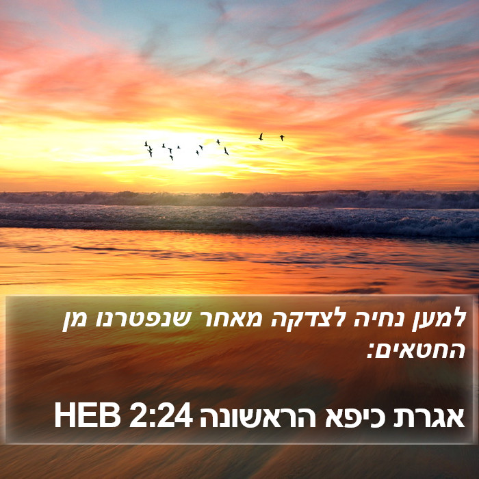 אגרת כיפא הראשונה 2:24 HEB Bible Study