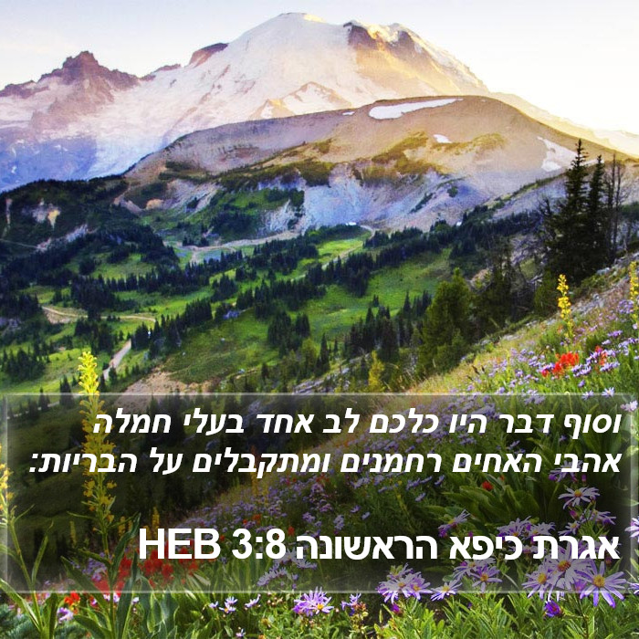 אגרת כיפא הראשונה 3:8 HEB Bible Study