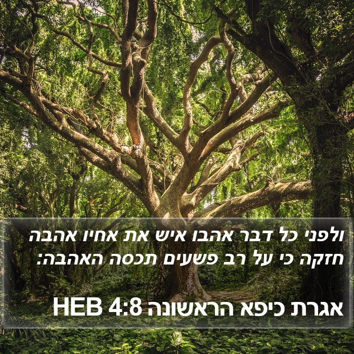 אגרת כיפא הראשונה 4:8 HEB Bible Study