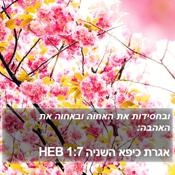 אגרת כיפא השניה 1:7 HEB Bible Study