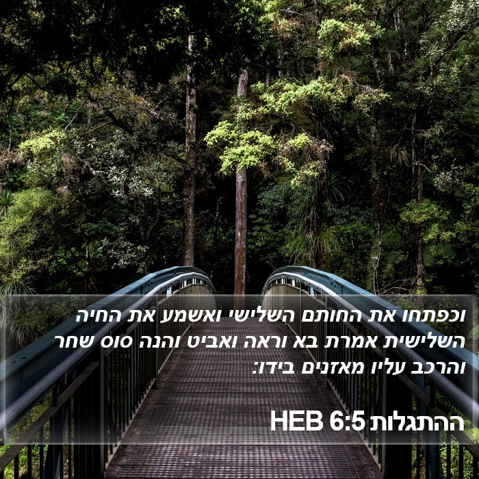 ההתגלות 6:5 HEB Bible Study