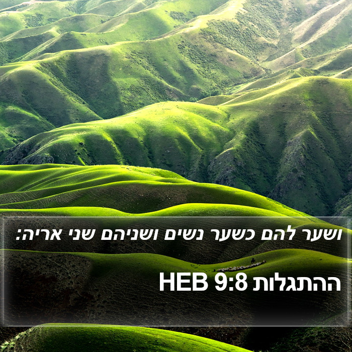 ההתגלות 9:8 HEB Bible Study