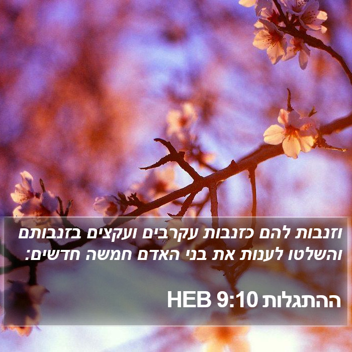 ההתגלות 9:10 HEB Bible Study